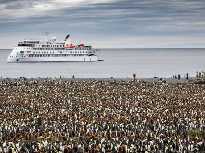 Greg_Mortimer_-_Ship_and_King_Penguins_Antarctica_Susan_Portnoy_original