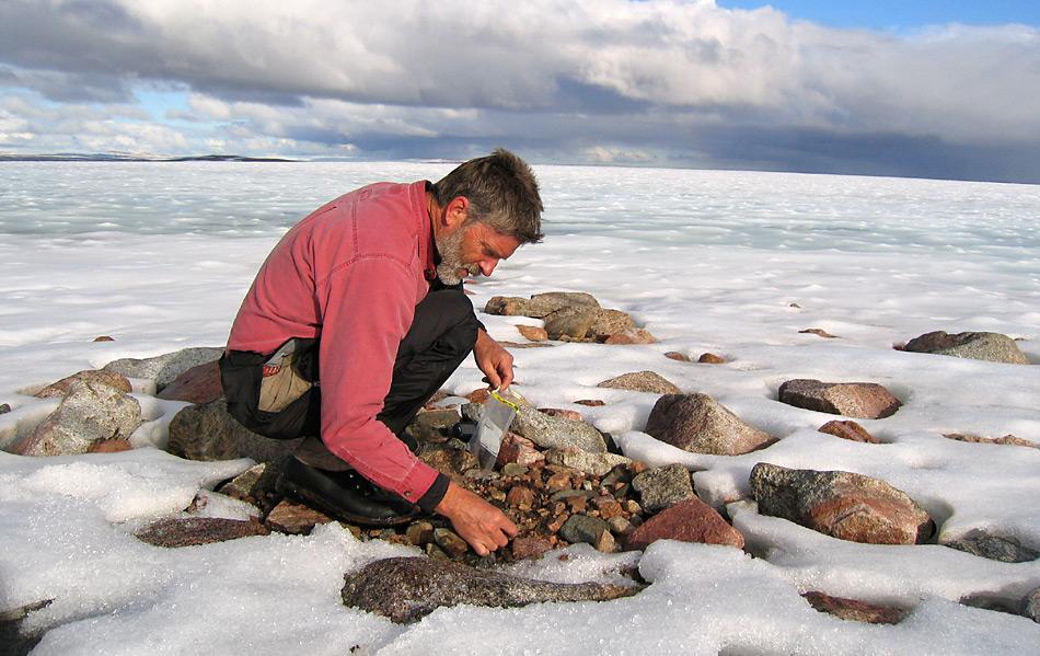 In der Antarktis werden noch heute Zeugen aus der Warmzeit der Antarktis gefunden.