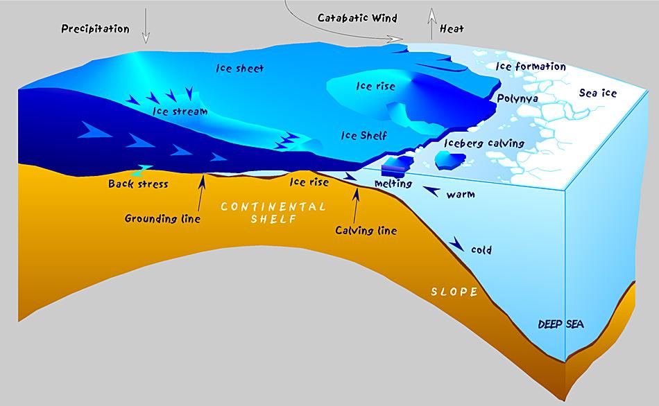 Skizze der antarktischen Küste mit glaziologischen und ozeanographischen Prozesse. Warmes Wasser kann unter dem Schelfeis eindringen und es von unten abschmelzen. Unterkühltes Wasser von tief unter dem Schelfeis Plättchen-Eis, wenn der Druck mit abnehmender Tiefe zunimmt. Es setzt sich dann an der Unterseite des Meereises ab. Grafik von Hannes Grobe, AWI Bremerhaven