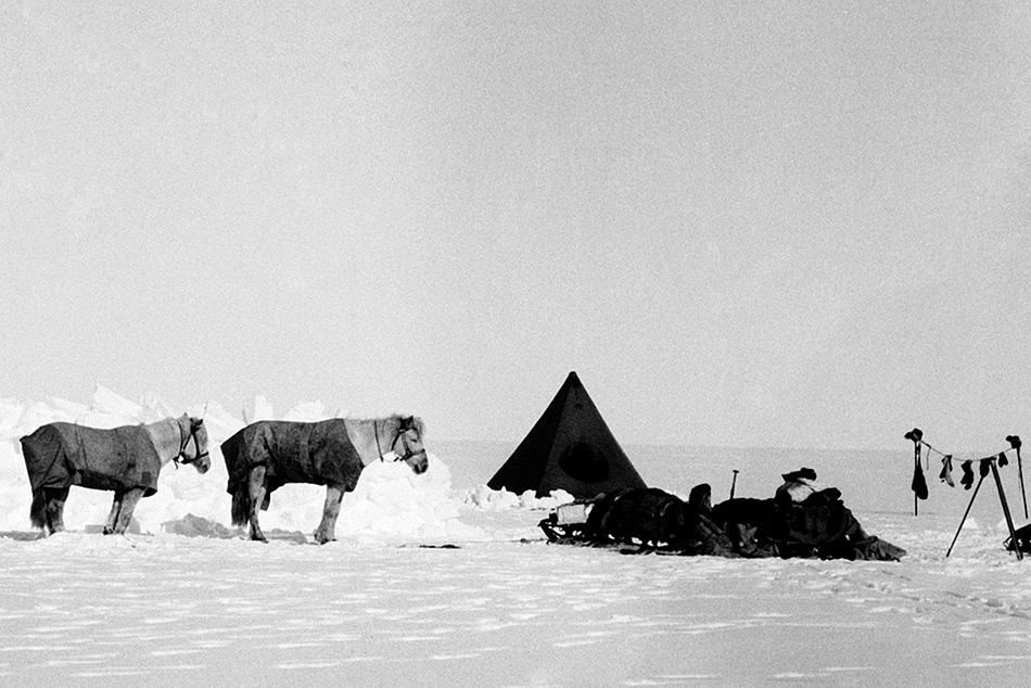 Während Amundsen vollumfänglich auf Skis und Hunde setzte, war Scott davon überzeugt, Motoschlitten und Ponys einsetzen zu wollen. Dies stellte sich als grosser Fehler heraus.