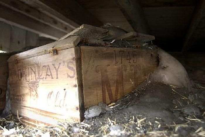 Shackleton liebte Whiskey