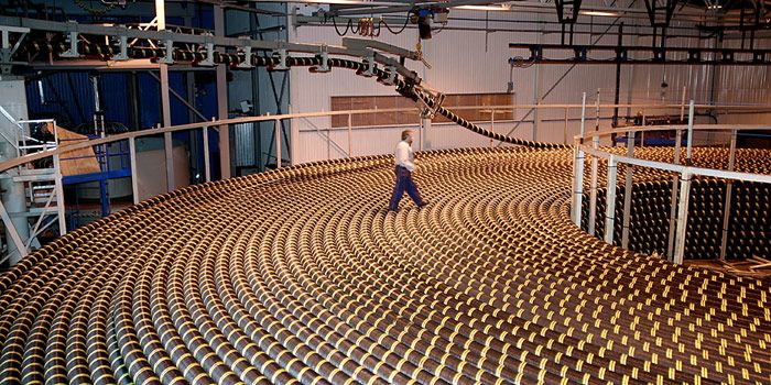 Datenautobahn durch die Arktis